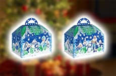 Ларец «Краски Зимы»